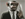 MRLP