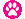 PAWS