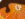OJCW