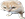 CONE